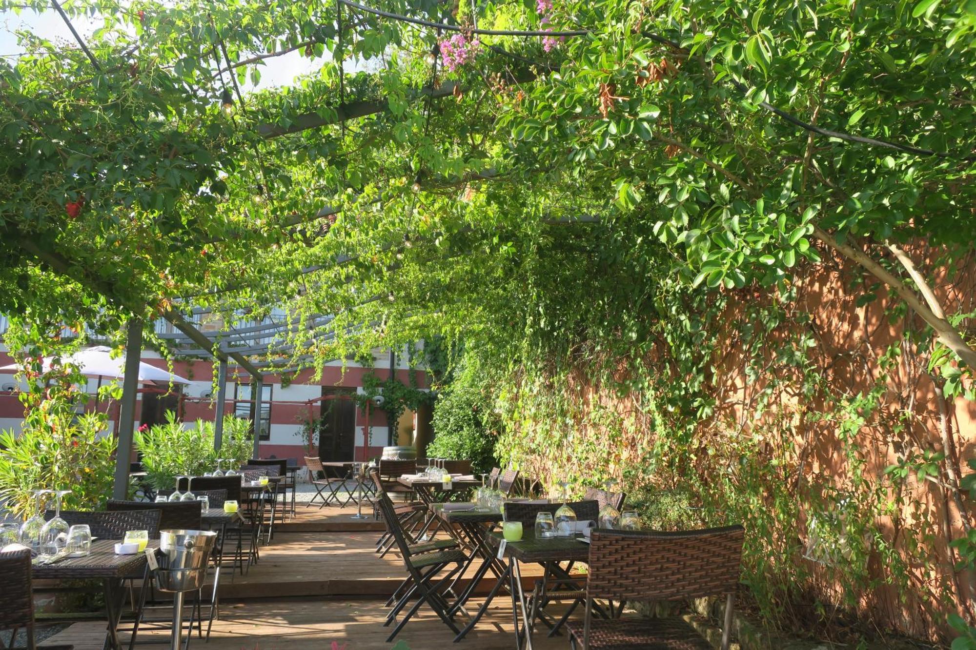 Foresteria Ristorante Conti Roero Monticello d'Alba 外观 照片