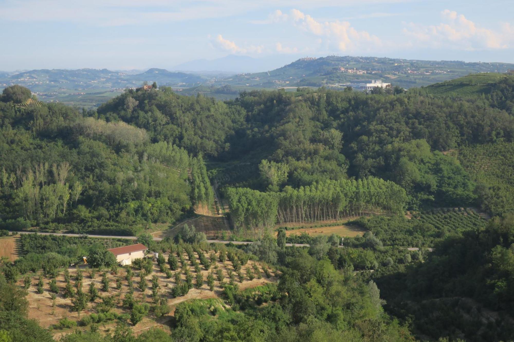 Foresteria Ristorante Conti Roero Monticello d'Alba 外观 照片